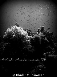 quiet... by Khidlir Muhammad 